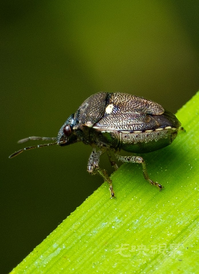 DXA01224.jpg