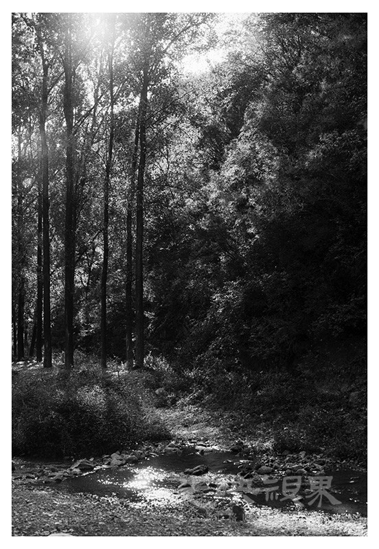 Untitled (39).jpg