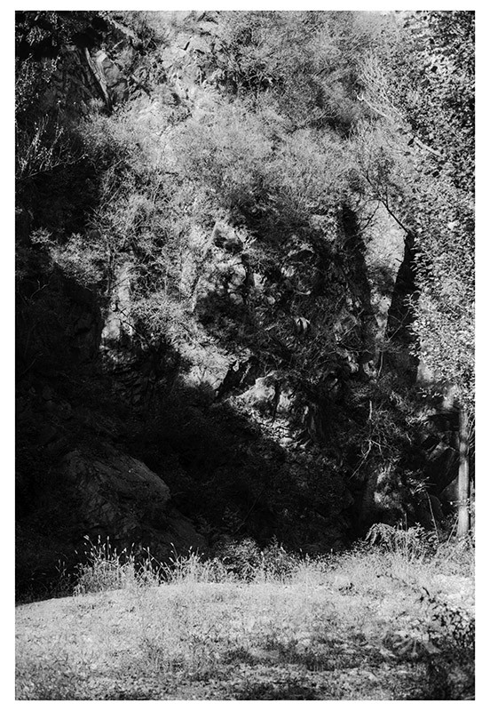 Untitled (38).jpg