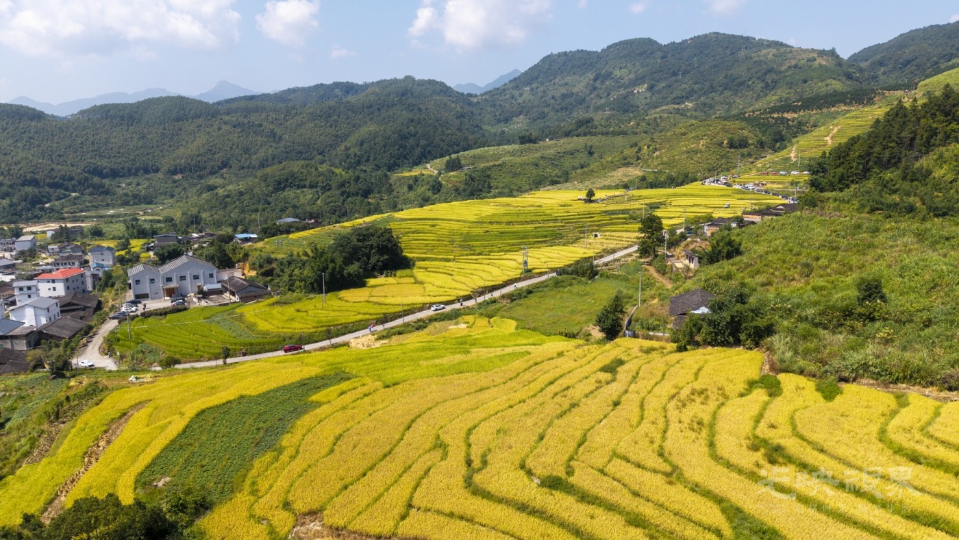 DJI_20260926111418_0051_D_1.JPG