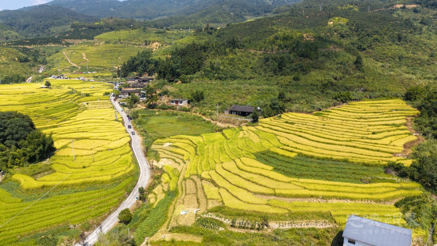 DJI_20260926111555_0055_D_1.JPG