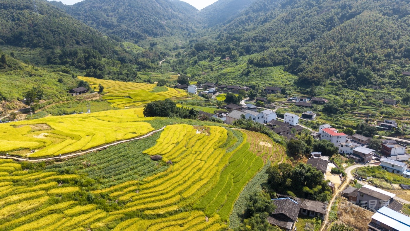 DJI_20260926111719_0058_D_1.JPG
