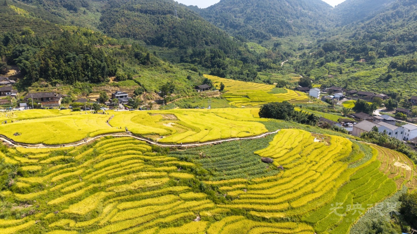 DJI_20260926111724_0059_D_1.JPG