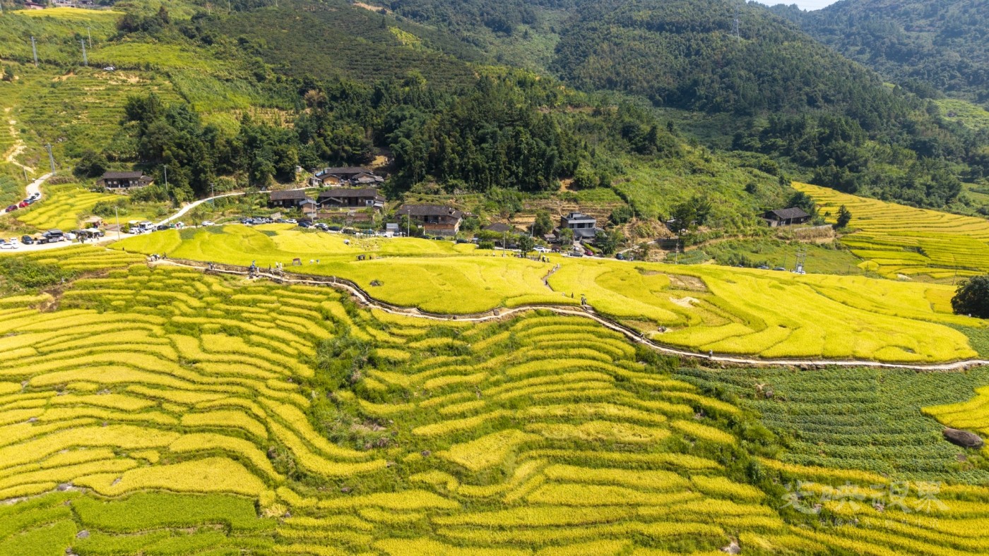 DJI_20260926111728_0060_D_1.JPG