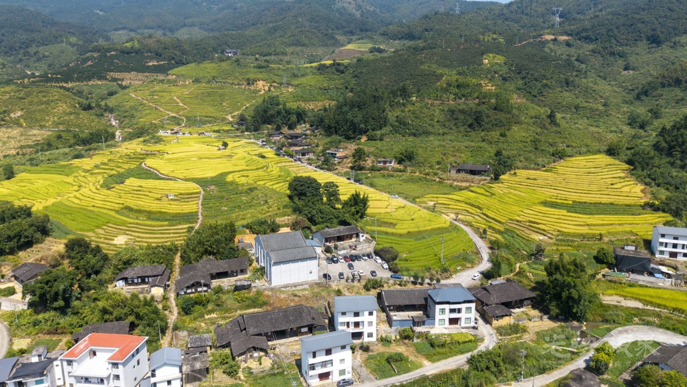 DJI_20260926112035_0065_D_1.JPG