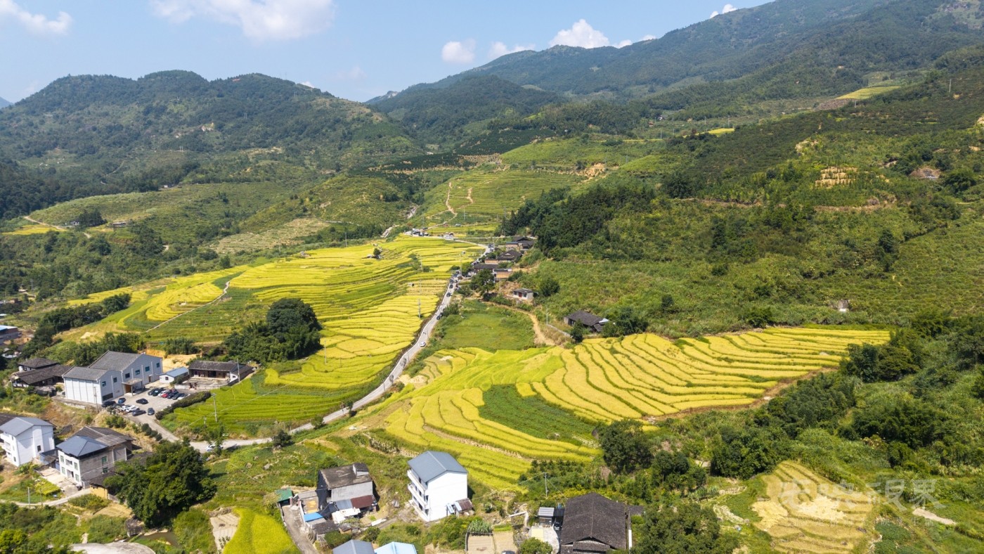 DJI_20260926112110_0066_D_1.JPG
