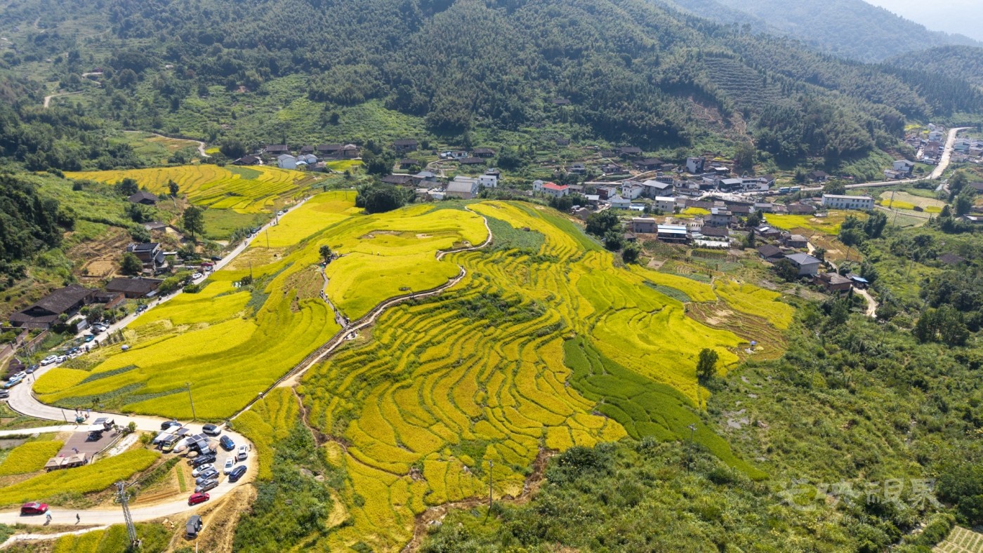 DJI_20260926112317_0068_D_1.JPG