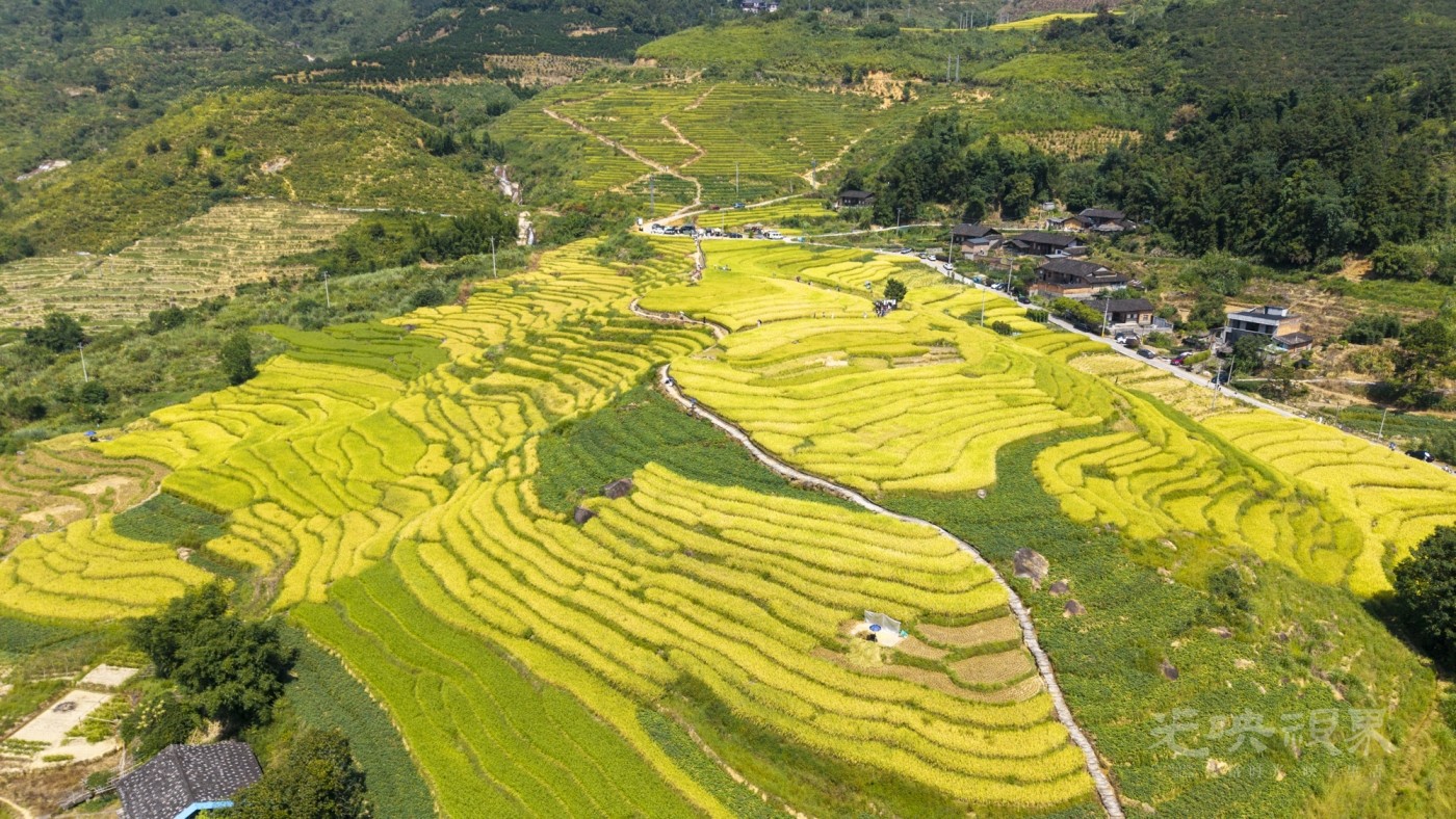 DJI_20260926113008_0079_D_1.JPG
