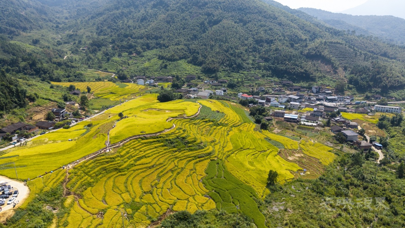 DJI_20260926113142_0081_D_1.JPG