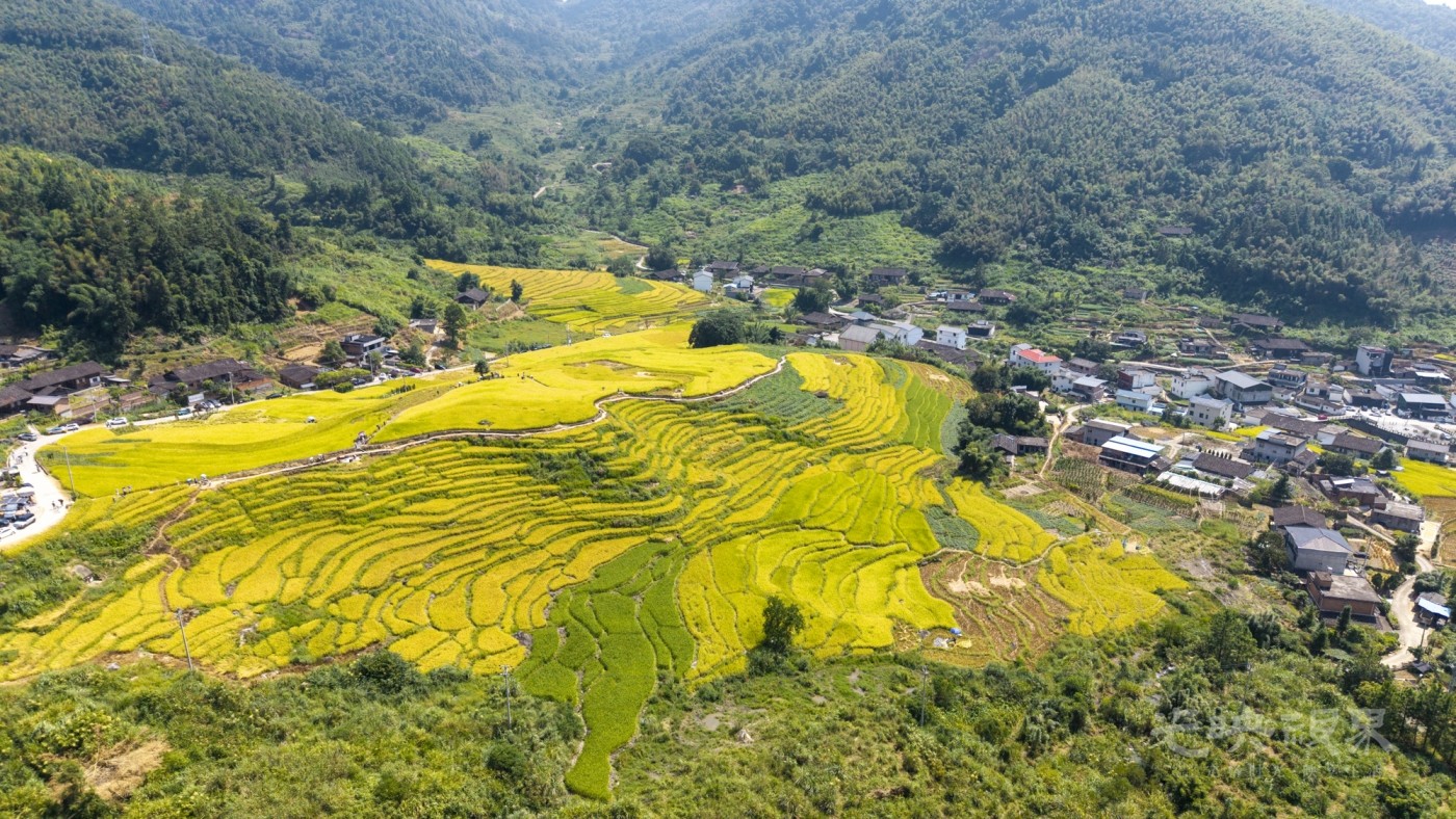 DJI_20260926113201_0082_D_1.JPG