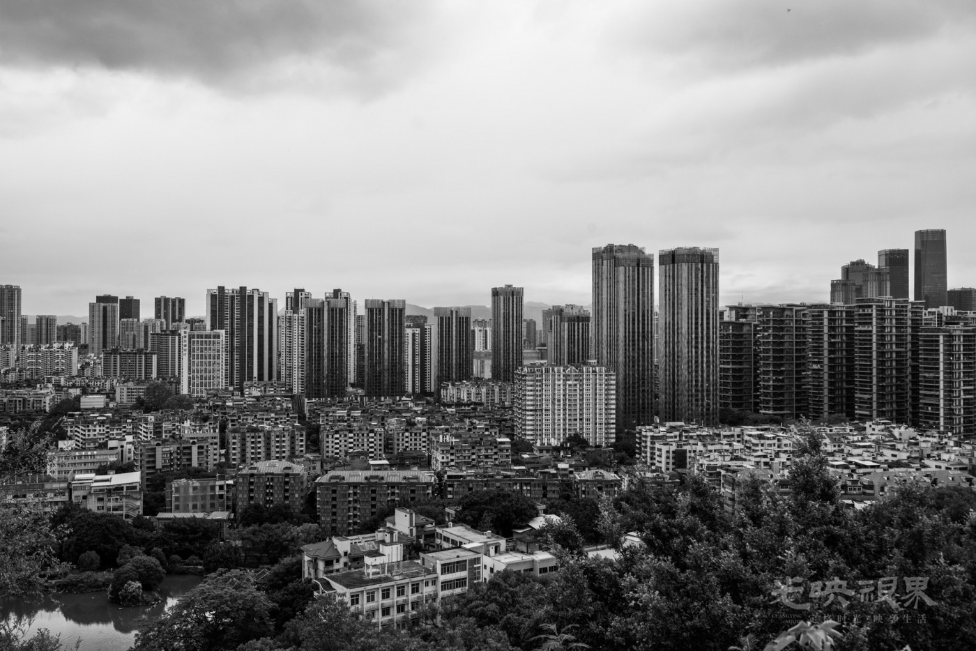 _DSC4876_1_1.jpg