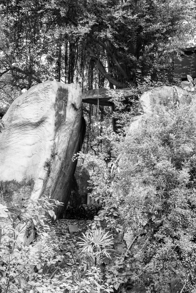 _DSC4770_1_1.jpg