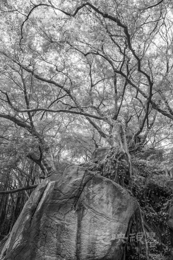 _DSC4830_1_1.jpg