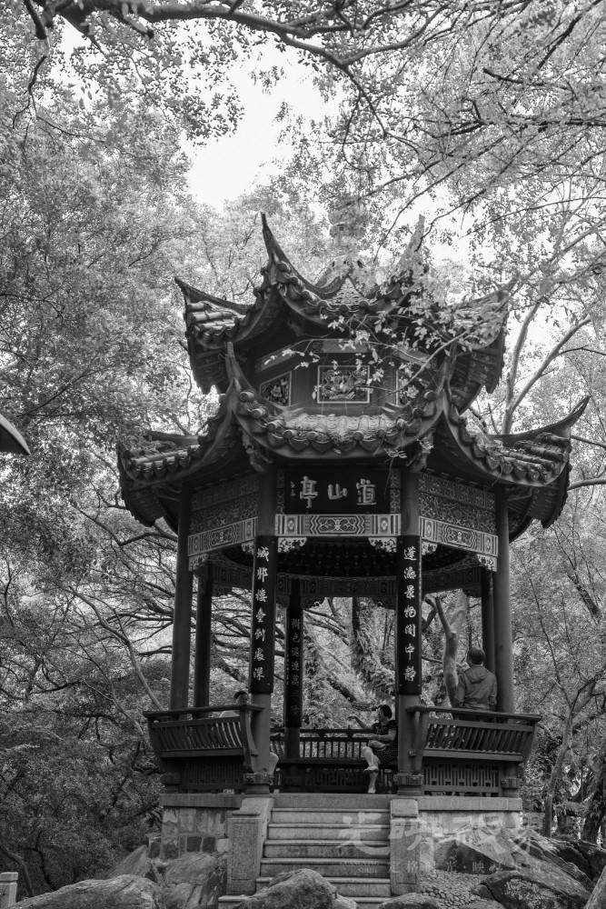 _DSC4759_1_1.jpg