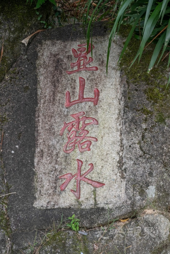 DSC_3274_1.jpg