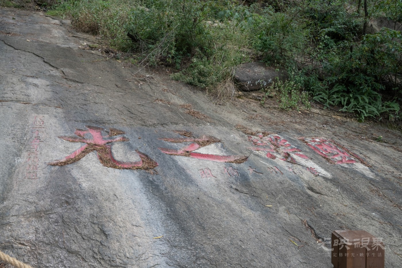 DSC_3277_1.jpg