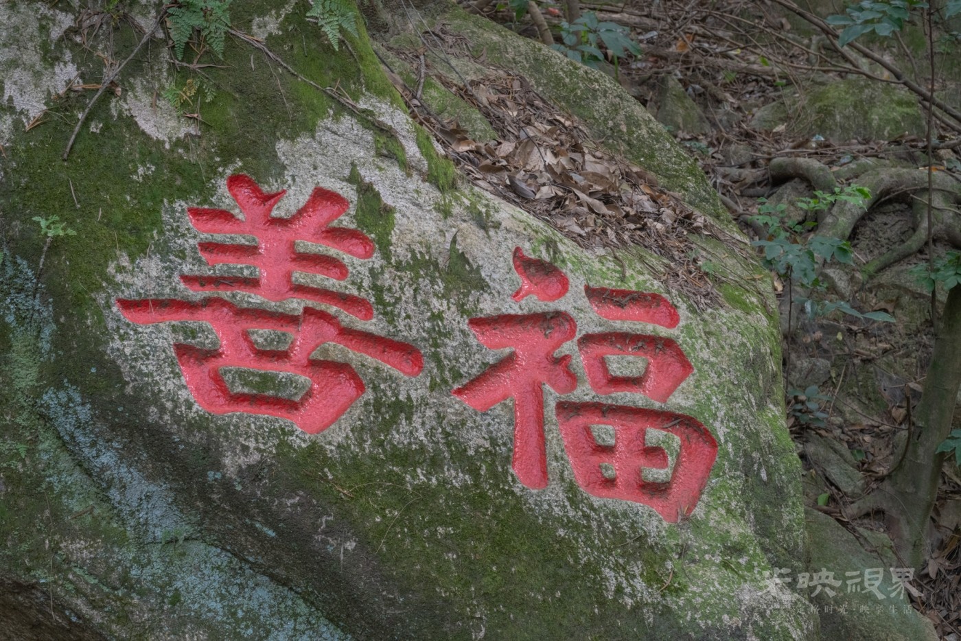 DSC_3292_1.jpg