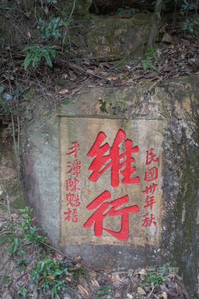 DSC_3295_1.jpg