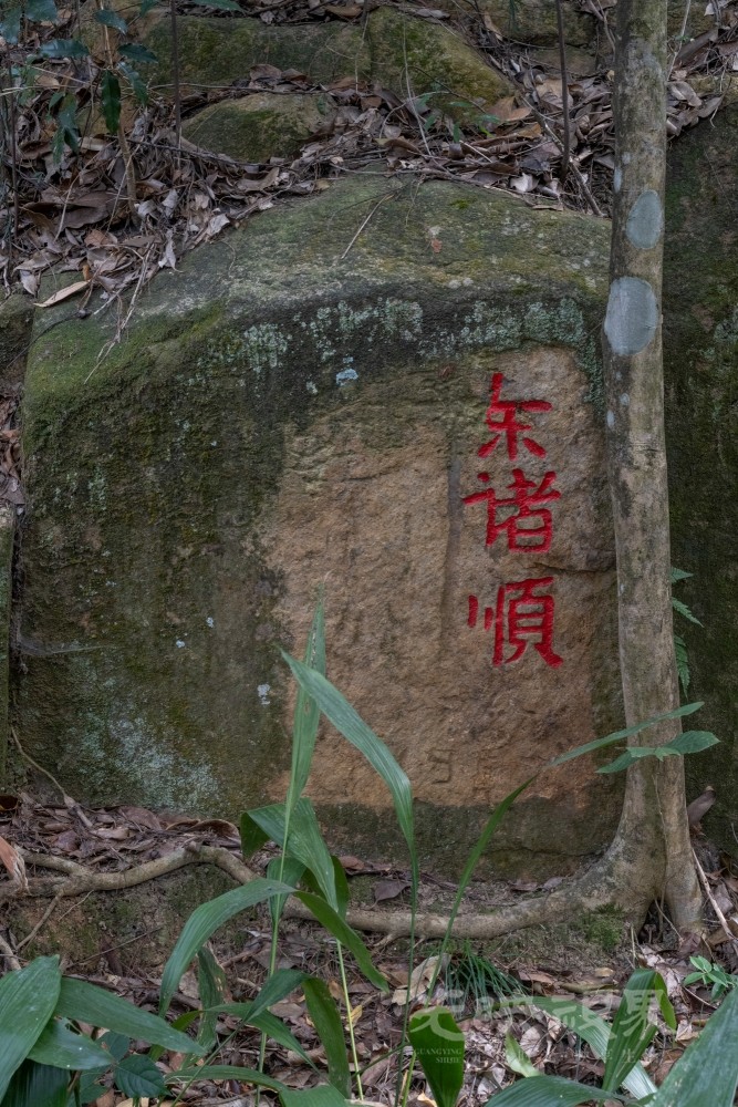 DSC_3296_1.jpg