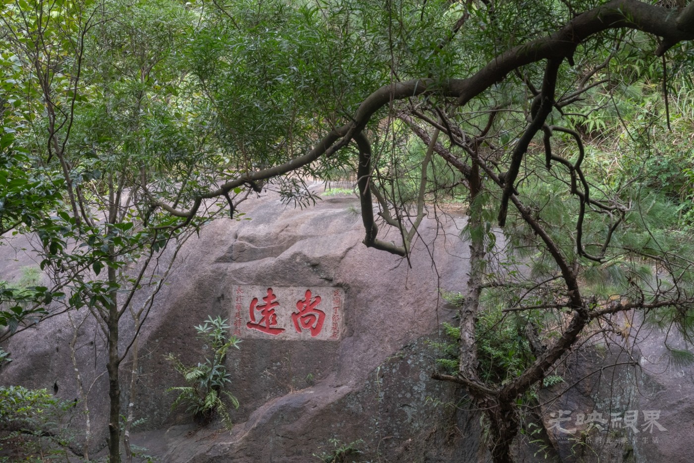 DSC_3297_1.jpg
