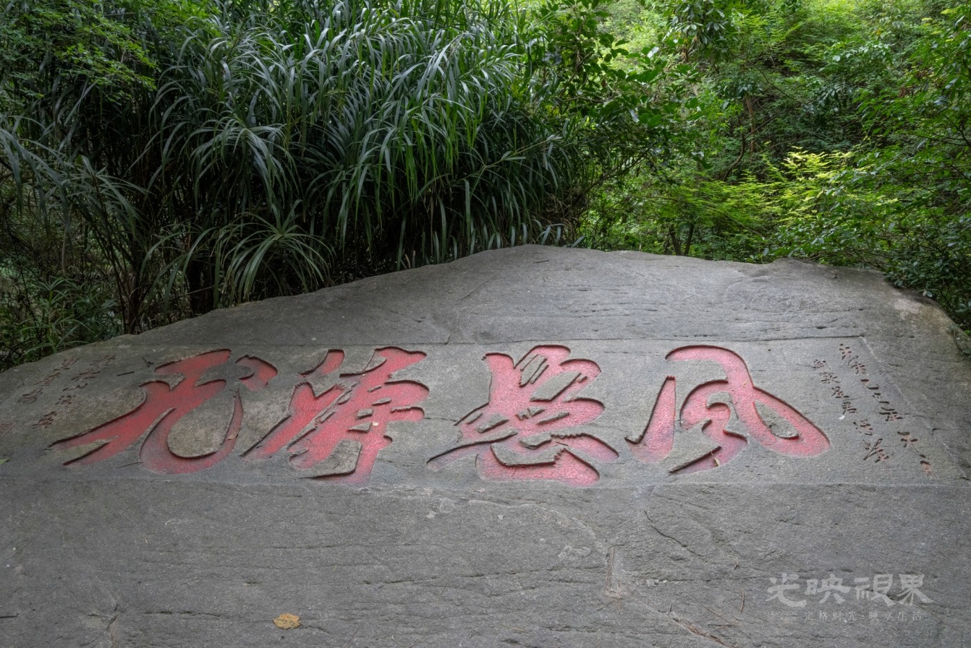 DSC_3299_1.jpg