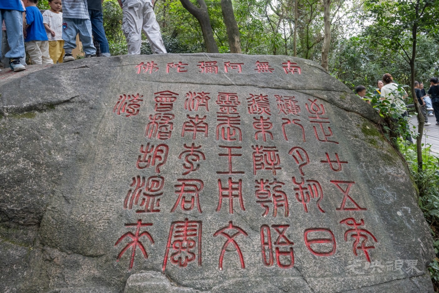 DSC_3302_1.jpg