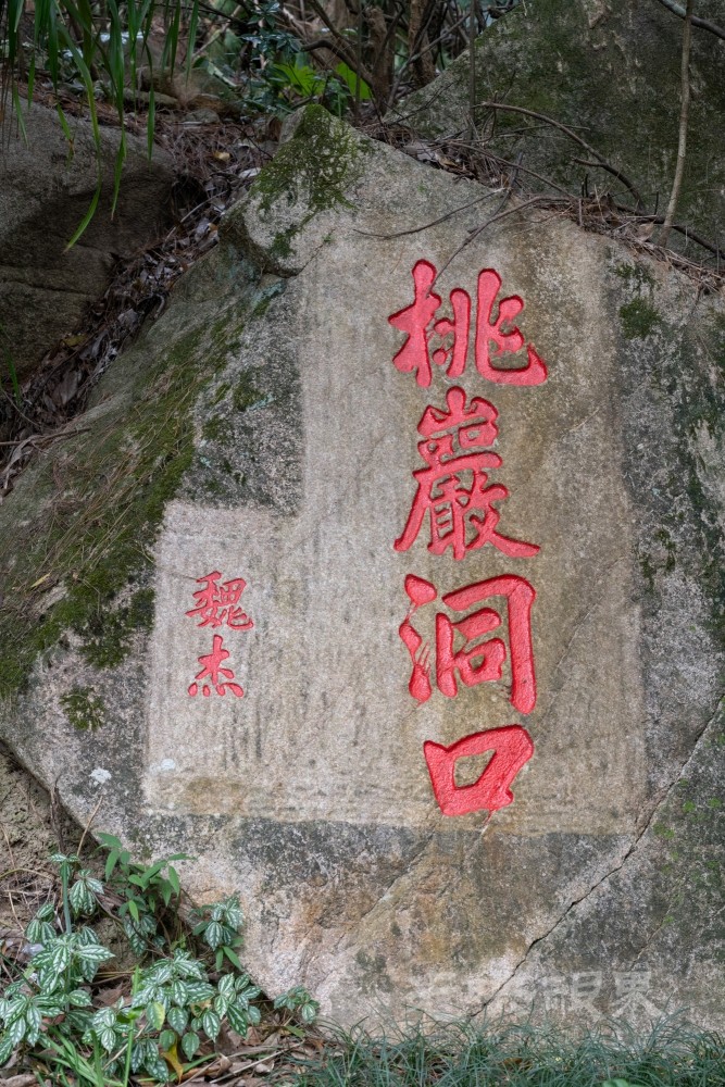 DSC_3327_1.jpg
