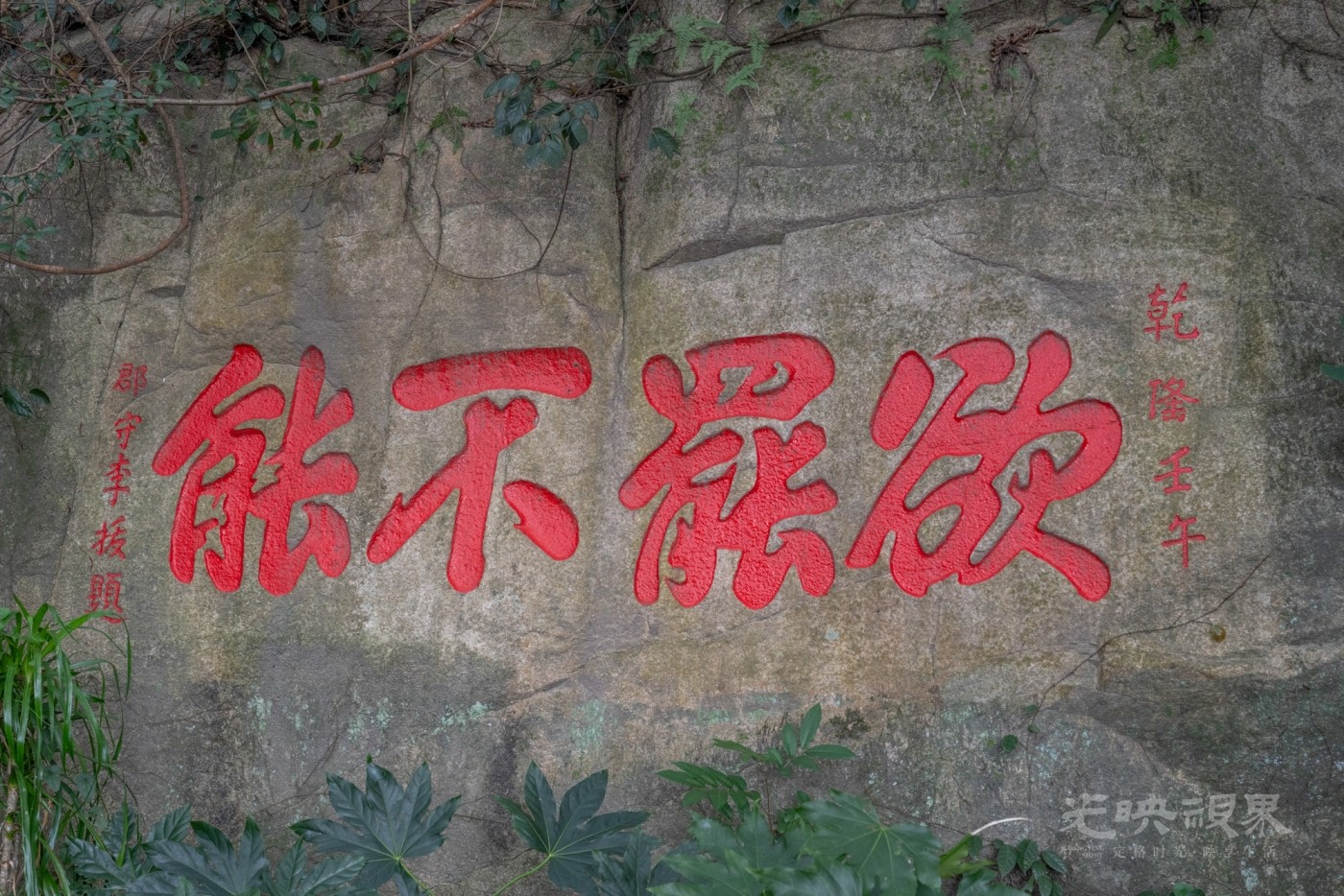 DSC_3337_1.jpg