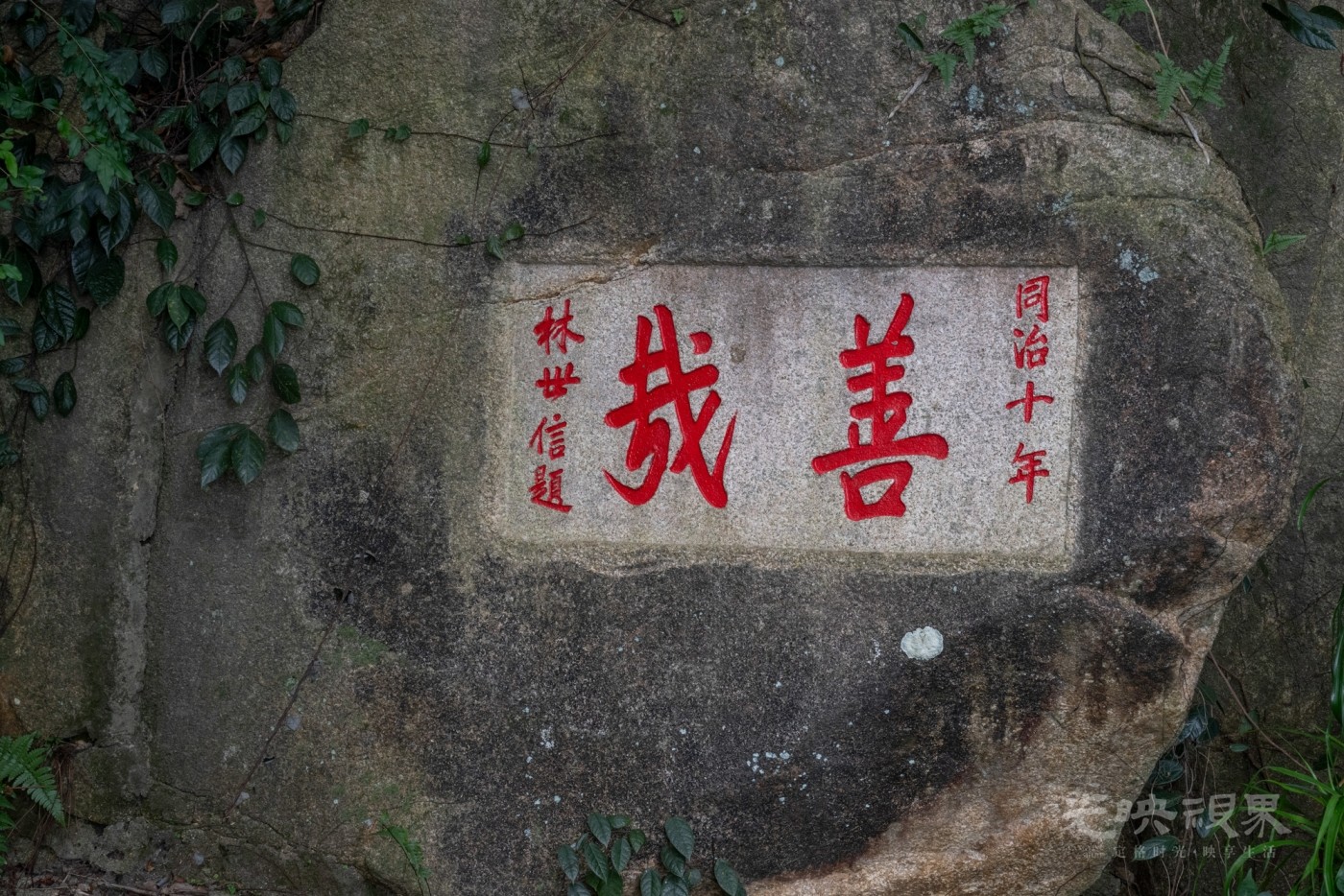 DSC_3338_1.jpg
