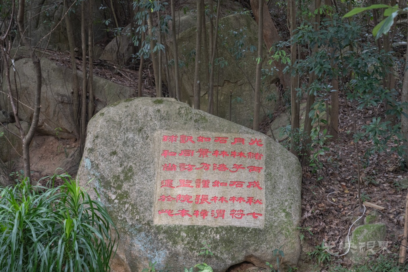 DSC_3344_1.jpg