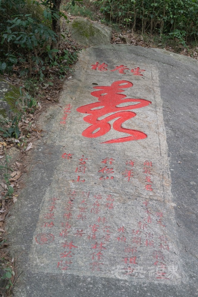 DSC_3342_1.jpg