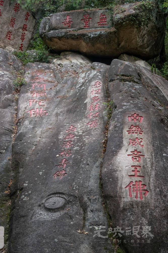 DSC_3352_1.jpg