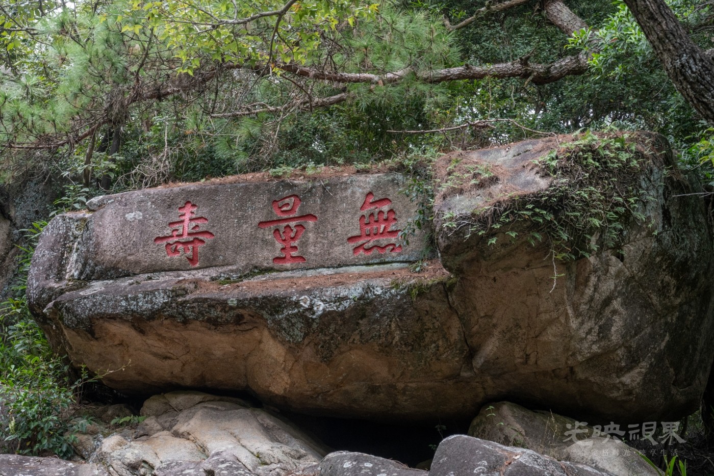 DSC_3353_1.jpg