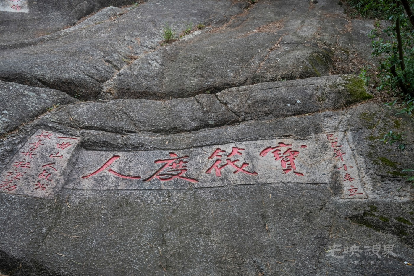 DSC_3356_1.jpg
