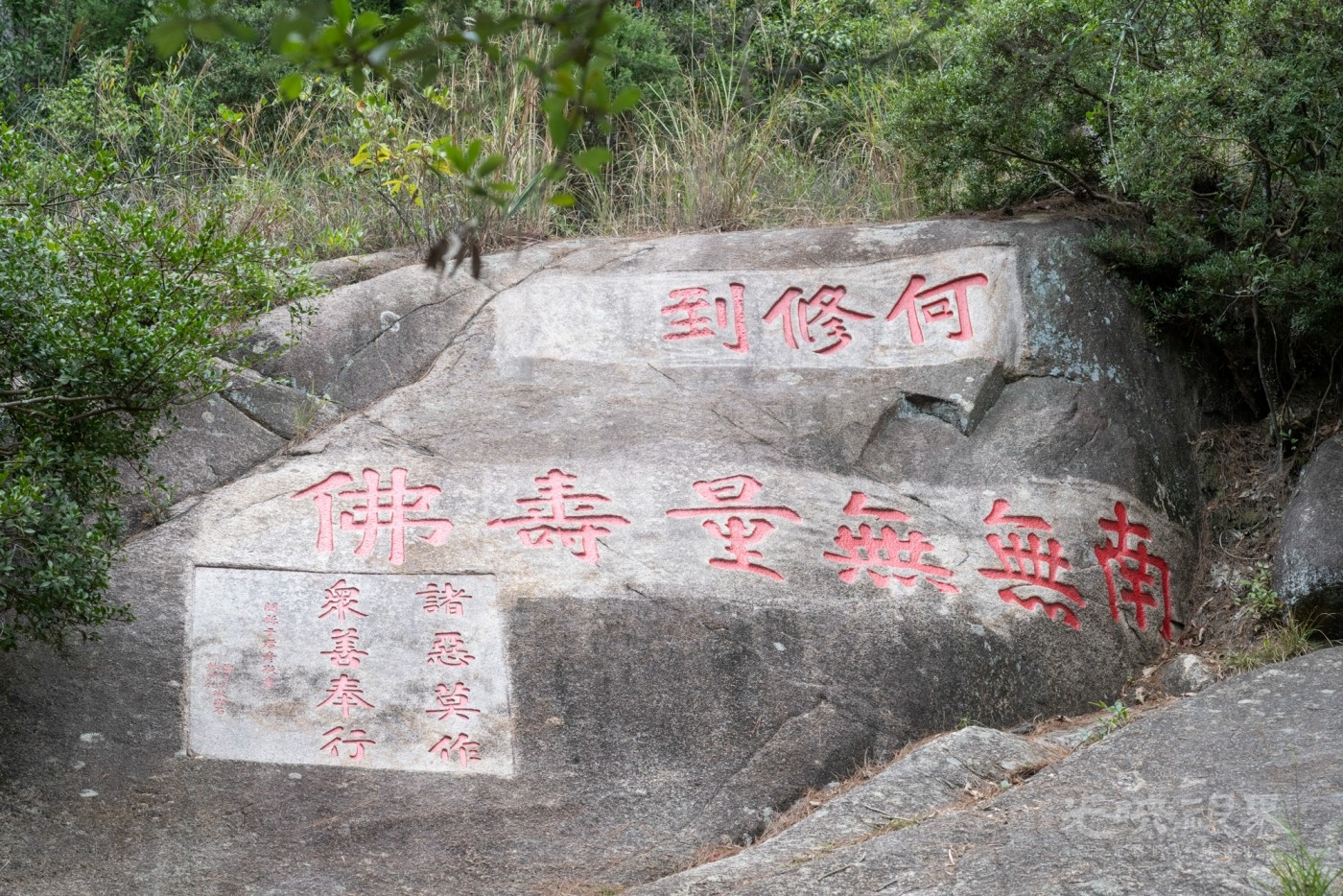 DSC_3357_1.jpg