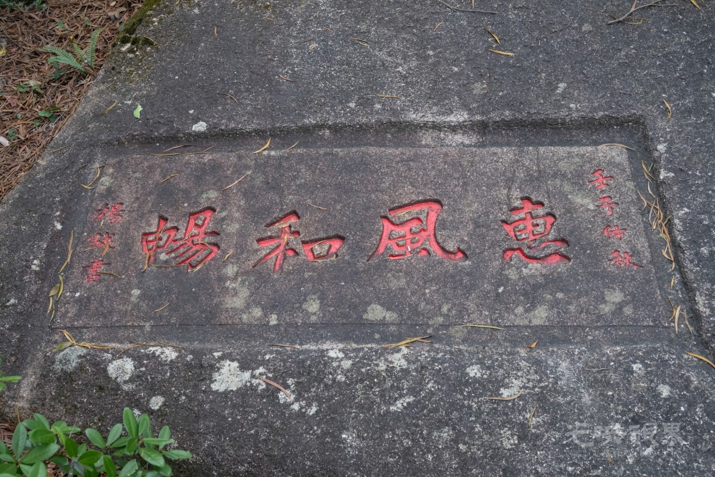 DSC_3358_1.jpg