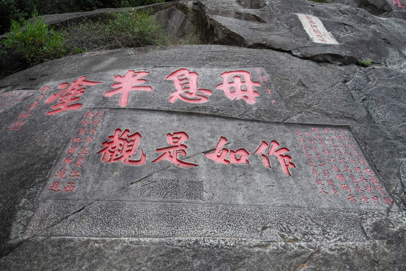 DSC_3360_1.jpg