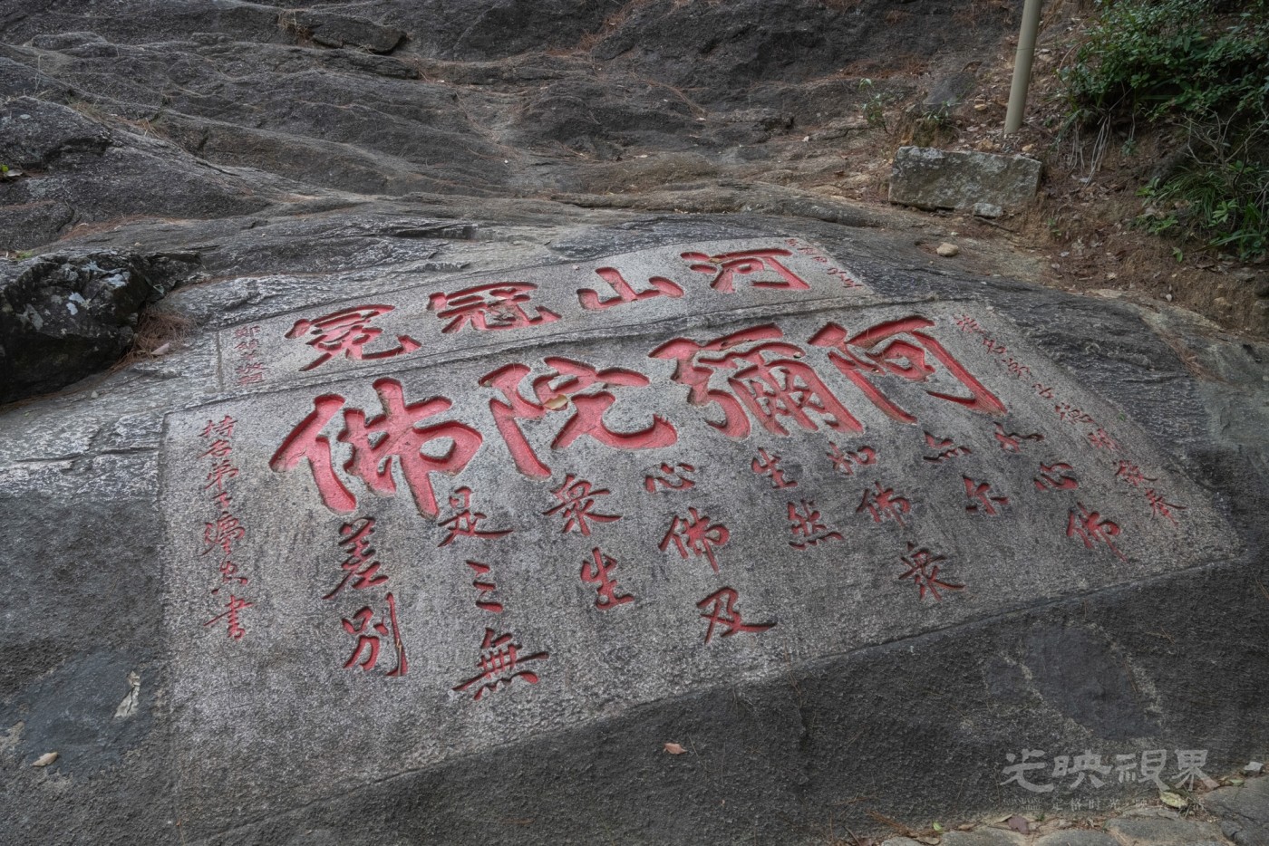 DSC_3364_1.jpg