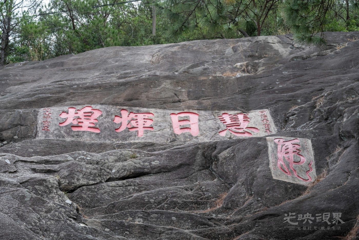 DSC_3365_1.jpg