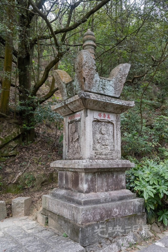 DSC_3367_1.jpg