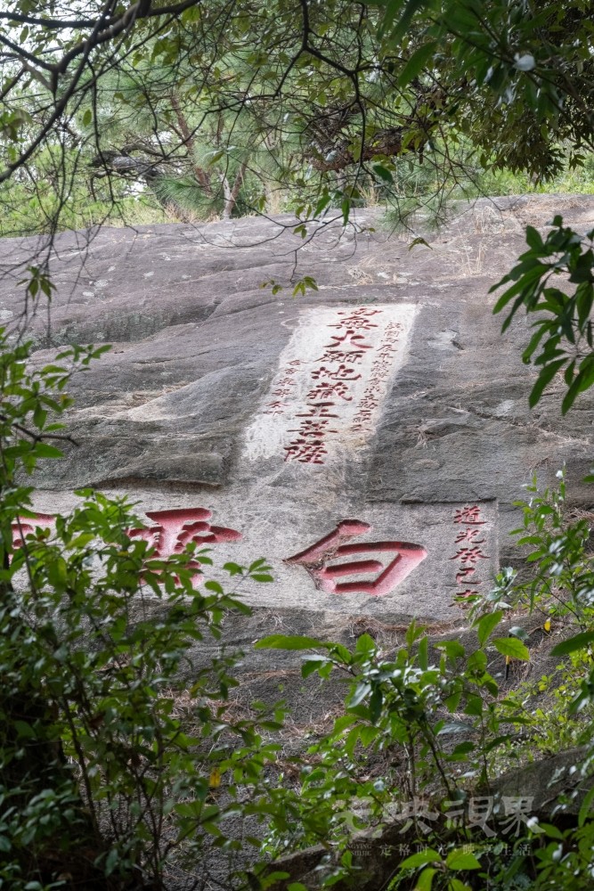 DSC_3368_1.jpg