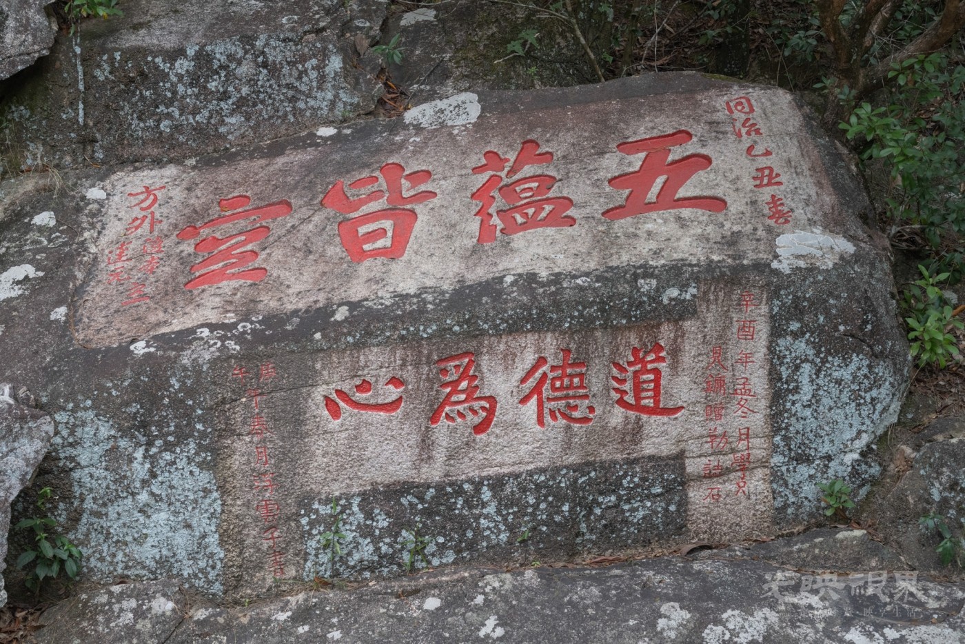 DSC_3385_1.jpg
