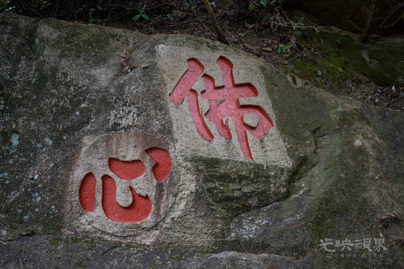 DSC_3390_1.jpg