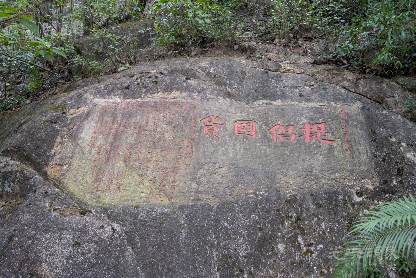 DSC_3392_1.jpg