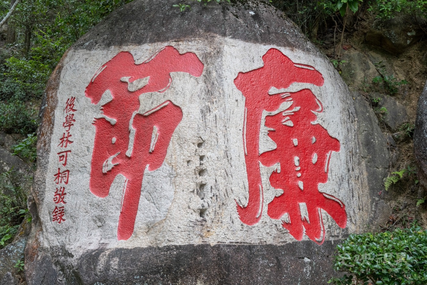 DSC_3393_1.jpg