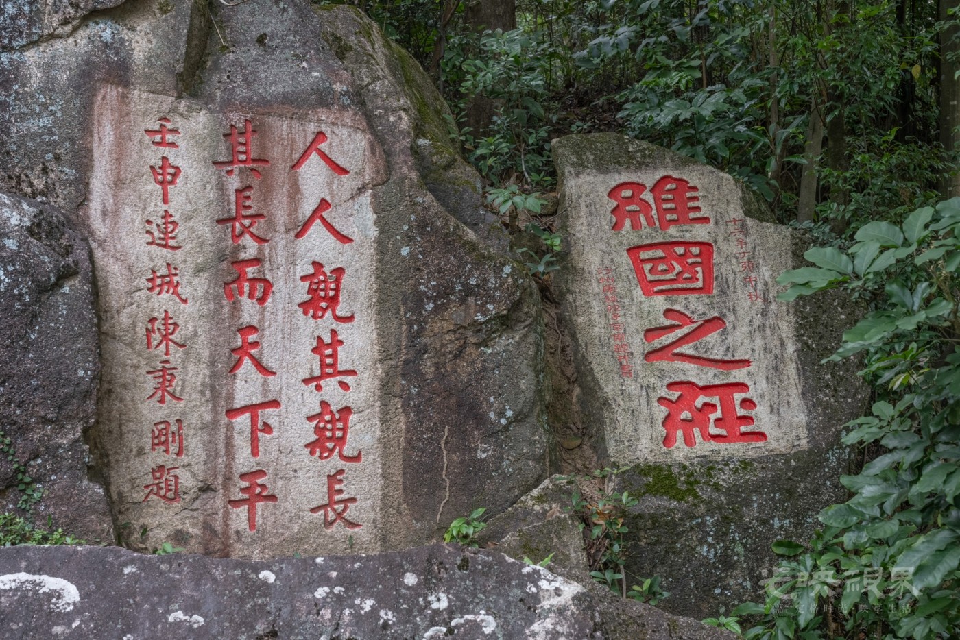 DSC_3395_1.jpg