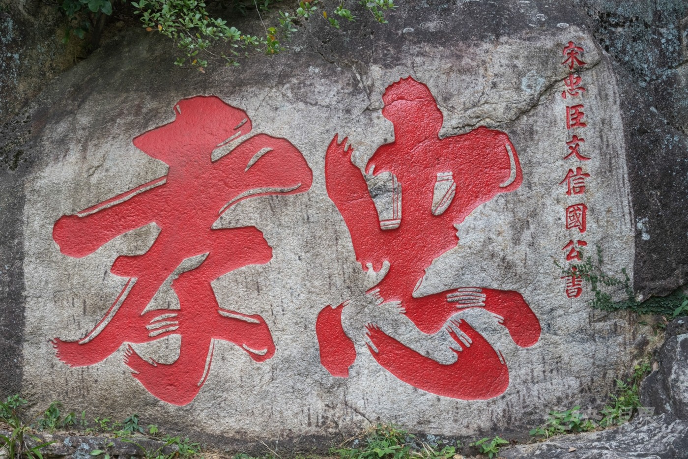 DSC_3394_1.jpg