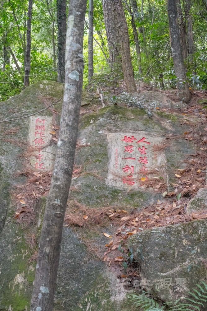 DSC_3405_1.jpg
