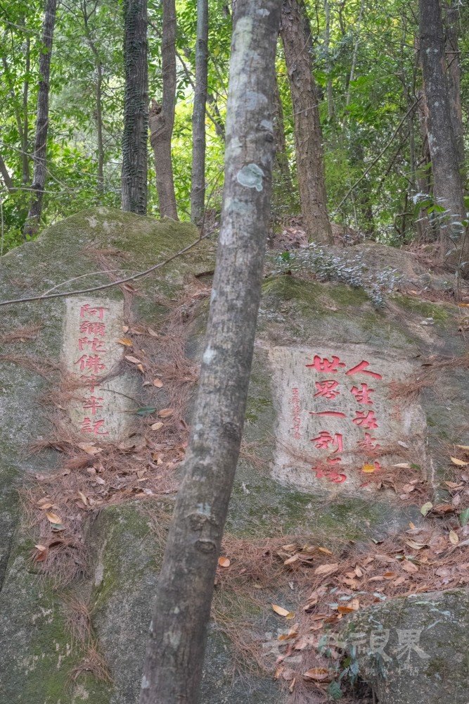 DSC_3407_1.jpg