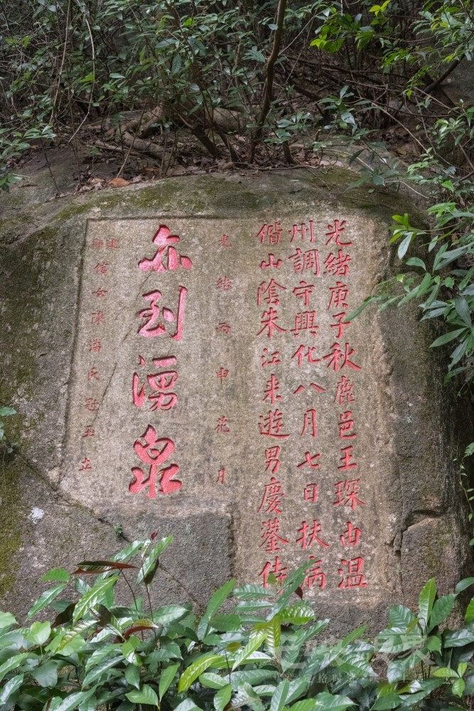 DSC_3412_1.jpg
